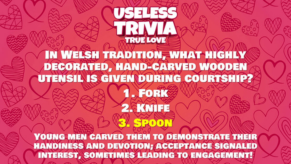 Useless Trivia: True Love image number null